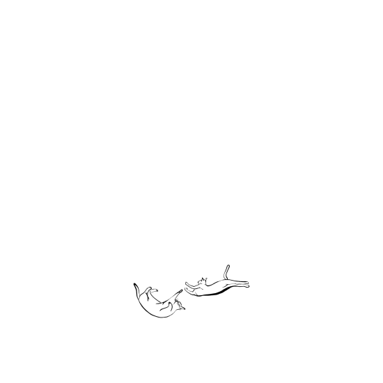 創世紀 x 貓