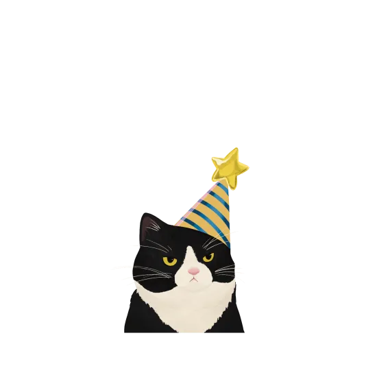 Tuxedo cat party