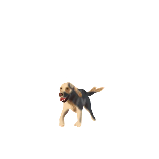 Dog - Golden Retriever