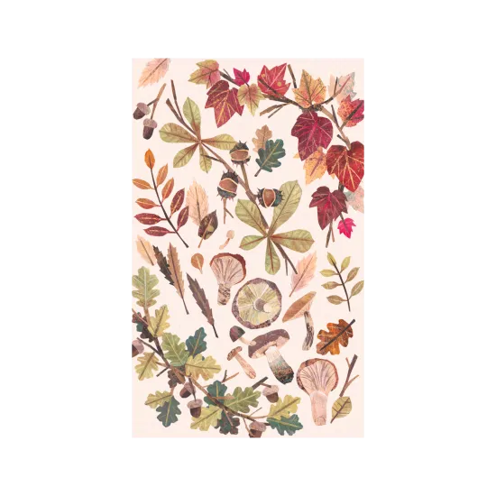 Autumn leaves