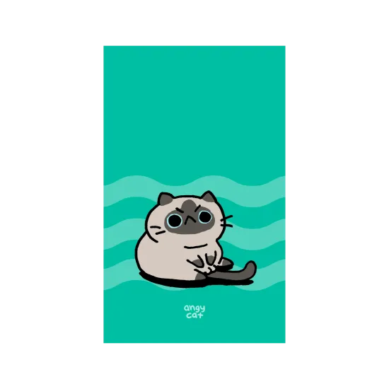 sitting cat
