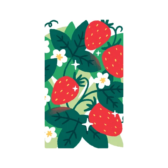 Field of Strawberries