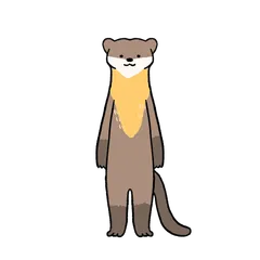 Taiwan Flat Animals