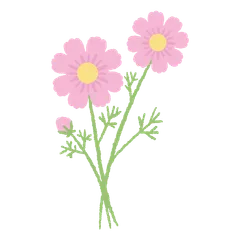 Fleurs Jolies et Épanouies V.3