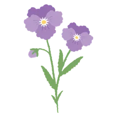 Fleurs Jolies et Épanouies V.3