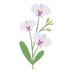Fleurs Jolies et Épanouies V.3