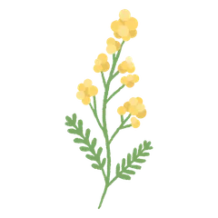Fleurs Jolies et Épanouies V.3