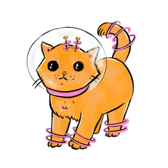 Space Kitties