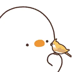 Duck_c4 Partners