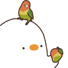 Duck_c4 Partners