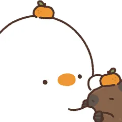 Duck_c4 Partners