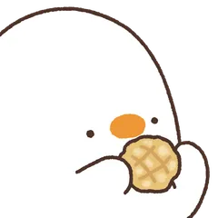 Duck_c4 Collection