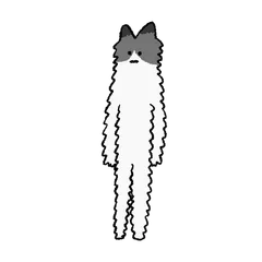 Team flat cat 