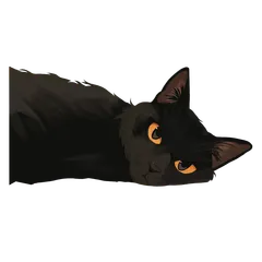 Animaux mignons