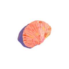 Rainbow Seashells Stickers