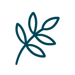 Minimalistic Flora