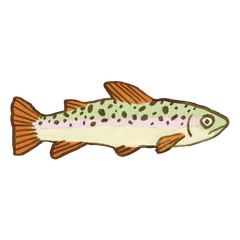 奇幻趣味魚群貼紙