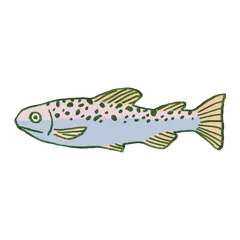 奇幻趣味魚群貼紙