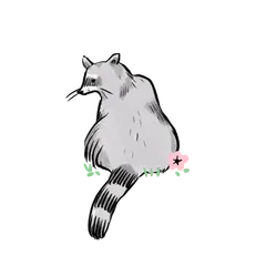 Blooms and Raccoons
