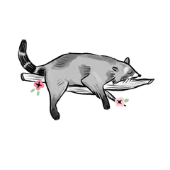 Blooms and Raccoons
