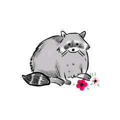Blooms and Raccoons