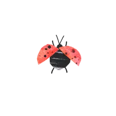 Collaged insects