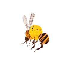 Collaged insects