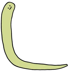 A lot of snakes