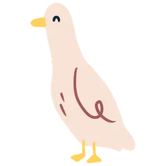 Ducks