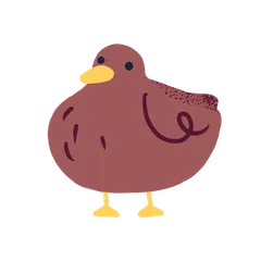 Ducks