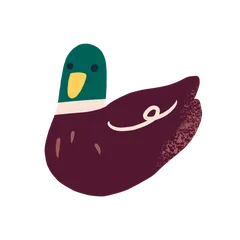 Ducks
