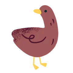 Ducks
