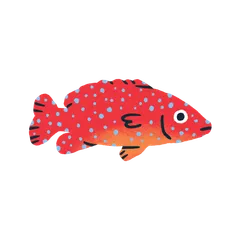 Colorful fish