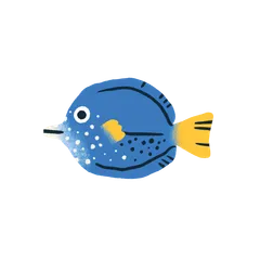 Colorful fish