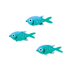 Colorful fish
