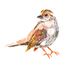Collaged birds