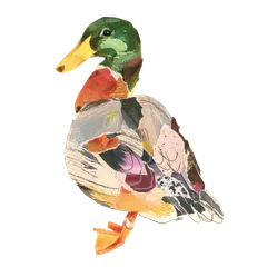Collaged birds