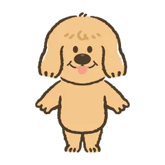 Habillons Bo