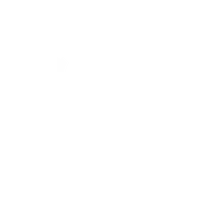 Team Taiwan - White