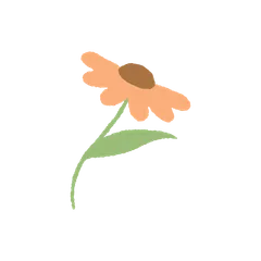 Fleurs Jolies et Épanouies