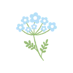 Fleurs Jolies et Épanouies