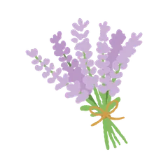 Fleurs Jolies et Épanouies