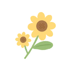 Fleurs Jolies et Épanouies