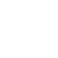Surf's Up - White