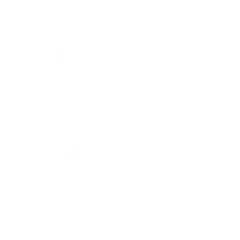 Surf's Up - White
