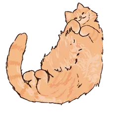 Orange Cat