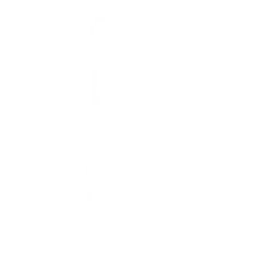 Cats in Ink - White
