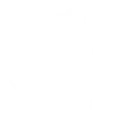 soulmeow