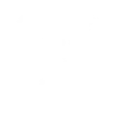 Climb On - White