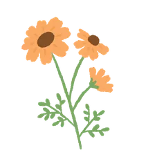 Fleurs Jolies et Épanouies V.2